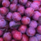 60 pcs Pflaumenbaum Samen - bio saatgut frisches obst Mirabellenbaum Samen - Prunus salicina - bonsai baum obstpflanzen obst frisch pflanztopf winterharte stauden mehrjährig obst frisch