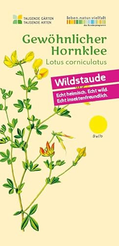 Gewöhnlicher Hornklee | Lotus corniculatus in Bio-Qualität (torffrei), TOP Wildbienen- und Schmetterlingspflanze, Kübel geeignet, im 0,69L Topf, Wildpflanze, liebevolle Handarbeit (5er Set)