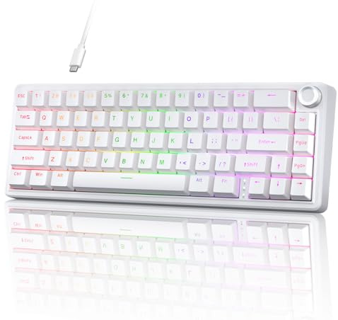 TMKB T68E 60% Wired Gaming Mechanical Keyboard, RGB Backlit Hot-Swappable Gasket Mount, Creamy Keyboard with Pre-Lubed Blueberry Switch, White