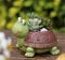 Binoster Vasi per Piante, Carino a Forma di Fumetto per Fiori succulente, Contenitore, Decorazione Domestica, scrivania Mini Ornamento (Tartaruga)