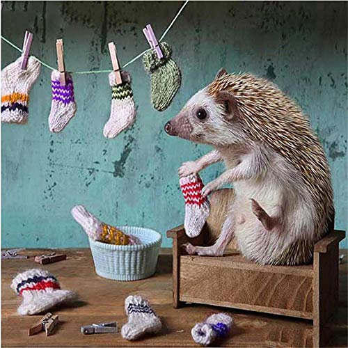 Puzzle 5000 Teile, Puzzle für Erwachsene, Puzzle Erwachsene anspruchsvoll Kleine Igel-Trockensocken Geschicklichkeitsspiel für die ganze Familie