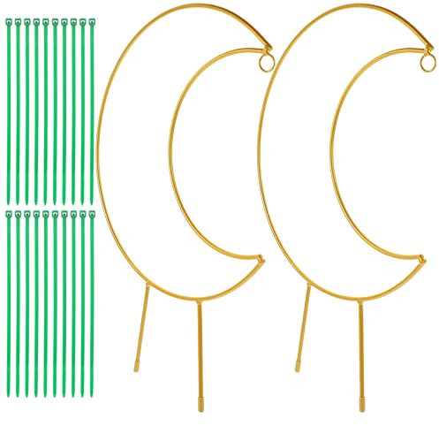 Happyyami 1 Set Struttura Rampicante per Piante Traliccio per Piante in Metallo Graticcio della Vite Struttura per Arrampicarsi su Rose Graticcio Giardino in Metallo Monstera Pianta