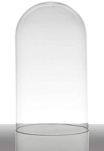 INNA-Glas Campana de Cristal Adelina, cilíndrica - Redonda, Transparente, 28cm, Ø 16.5cm - Recipiente de Cristal - Campana de Cristal pequeña