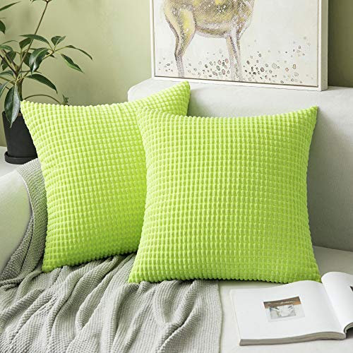 MIULEE 2er Set Kissenbezüge Kordsamt Dekokissen Kissenbezug Sofakissen Dekorativ Couchkissen Kissenhülle Bezug Weich für Wohnzimmer Schlafzimmer 50x50 cm, 20x20 Inch Zartes Grün
