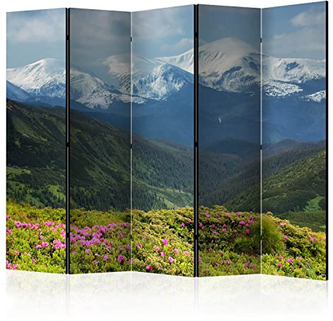 murando - Paravent Raumteiler Landschaft, 225x172 cm, 5-teilig, Wohnzimmer | Mobiler Sichtschutz, Beidseitig Bedruckt, Holzrahmen, ideal fürs Wohnzimmer oder Büro, Paravent innen, Trennwand