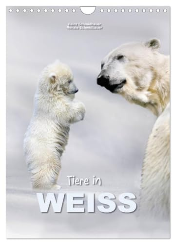 Tiere in Weiß (Wandkalender 2026 DIN A4 hoch), CALVENDO Monatskalender: Für ein weißes Ambiente - Tiere passend in Weiß (CALVENDO Tiere)