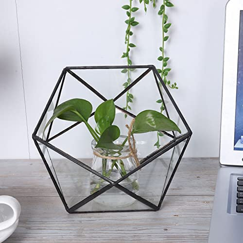 Terrarium de Bricolage Géométrique en Verre pour Plante Aérienne Succulente Jardinière de Table Géométrique avec Cadre en Métal Contenants de Terrarium Géométriques Créez Votre Propre Pièce Maîtresse