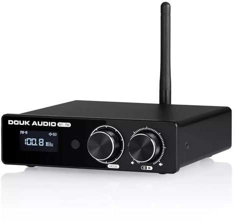 Douk Audio HiFi TPA3116 Digitalverstärker - Bluetooth 5.1 Stereoempfänger für Heim-FM mit 50W*2 (M1 FM)
