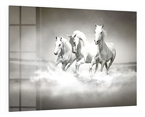 DEQORI Glas-Magnettafel | 120x90 cm groß | Motiv Weiße Araber im Wasser | Memo-Board aus Glas | Magnetboard inkl. Magnete, Stift & Tuch für Küche & Büro | Tafel magnetisch & beschreibbar