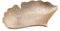 BUTLERS GOLDEN Nature Deko-Schale Gingkoblatt B 26 x T 22cm