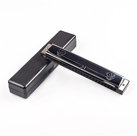 Mundharmonikas 24 Löcher Tremolo-Mundharmonika C-Taste Polyphonie Harmonikon Oktav Gestimmte Mundharmonika