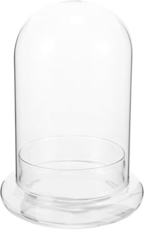 IMIKEYA Landschafts-Flasche Terrarium Für Pflanzen Große Ökologische Vase Kreative Tischdekoration Für Zuhause Und Büro Wassersparend Und Langlebig