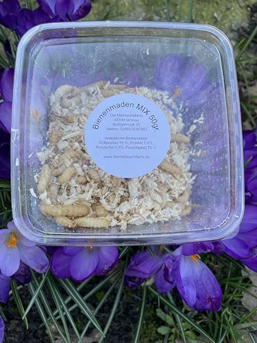 Bienenmaden 50gr. Wachsmaden, Agelköder, Futtertiere, Vogelfutter, Jungvögel