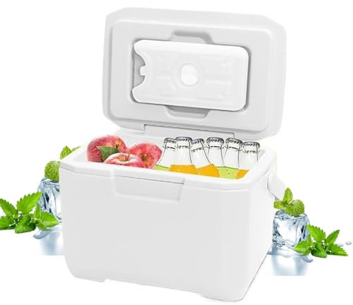 Jeorywoet Kleine Kühlbox 6L kleine Kühler mit 5 Eisbeutel langlebig 72-96 H Kühlkühler Kühlbox Lecksicher isolierter Gefrierkasten mit Griff für BBQ Campingreisen, Eisbox Kühler