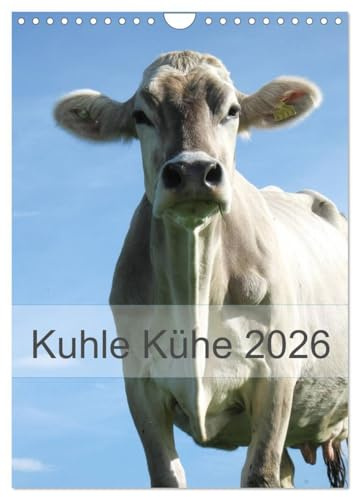 Kuhle Kühe 2026 (Wandkalender 2026 DIN A4 hoch), CALVENDO Monatskalender: Monat für Monat begleiten uns Kühe durch das Jahr (CALVENDO Tiere)