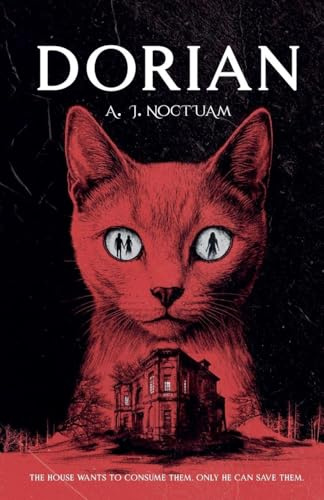 Dorian, the stray cat