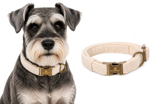 Flamingo Hund Halsband Janka Beige S 30-45cm 15mm