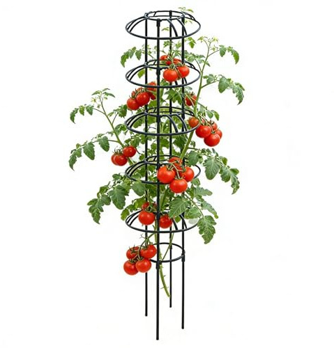 Jtxcreate Gartenrankgitter Rostfrei & Stabil