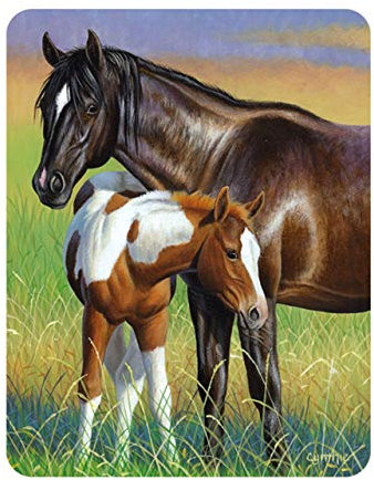 3D LiveLife Magnet - Mare & Foal from Deluxebase. Lenticular 3D Horse Fridge Magnet. Magnetic decor for kids and adults with artwork licensed from renowned artist, Cynthie Fisher