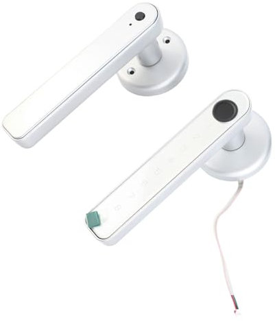 Ejoyous Türschloss Fingerabdruck, 4-in-1 Elektronisches Türschloss Smartes Türschloss Smart Lock mit Touch-Tastatur für Schlafzimmer Hotel Büro Zuhause (SILVER)