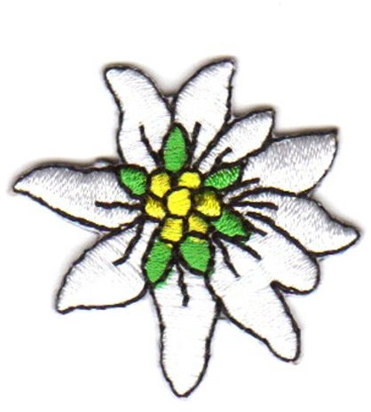2 Aufnäher Bügelbild Aufbügler Iron on Patches Applikation Edelweiss Durchmesser 3,5cm vor55-1