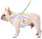 No Pull Hundegeschirr mit Leine, weiches Netzgewebe, verstellbare Regenbogen-Punkte, Weste, Geschirr für Katze, Welpen, kleine mittelgroße Hunde (S)