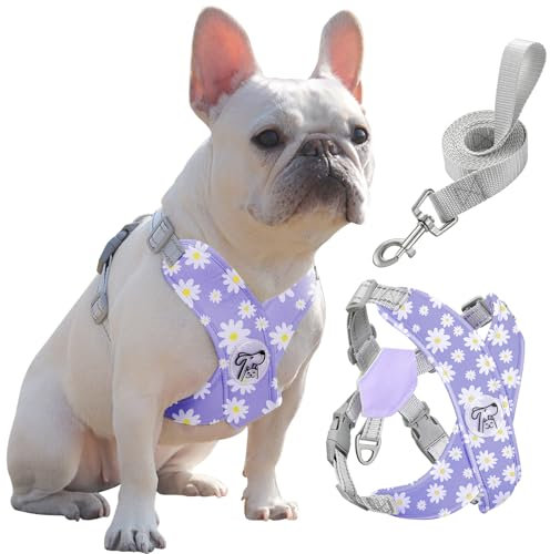 Pawaboo Hundegeschirr mit Hundeleine Set, X-Rahmen Verstellbares Anti Zug Anti-Erstickung Hund Brustgeschirr für Kleine, Mittelgroße Hunde & Welpen, Hundeweste mit Leine, L, Violette Gänseblume