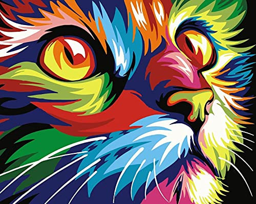 Fuumuui Peinture par Numéros Adultes et Enfants Débutants avec Pinceaux et Peintures Acryliques 40 x 50 cm - Animaux, Chat Coloré
