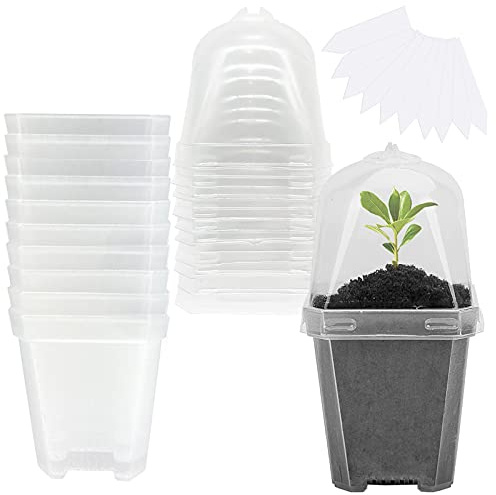 EBaokuup 10 transparente Pflanzentöpfe aus Kunststoff mit Feuchtigkeitskuppel, 7,6 cm, Kunststoffbehälter mit Etiketten, Samen-Start-Topf für Setzlinge/Gemüse/Sukkulenten/Stecklinge