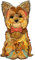 Blumuze Wooden Jigsaw Puzzles, Yorkshire Wooden Puzzles for Adults, Unique Shaped Animal Wood Puzzles, Wooden Animal Puzzles for Adults Kids with Wood Gift Box, L-280pcs-25 * 45cm