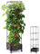 Caluself Tomatentopf Hochbeet Pflanzkasten für Kletterpflanzen zum Klettern,Blumenkasten mit Rankgitter,Gesamthöhe 165cm