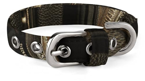 Hundehalsband mit alter Kamera, verstellbar, weich und bequem, Welpenhalsband mit Metallschnalle, Haustierhalsband für kleine, mittelgroße Haustiere