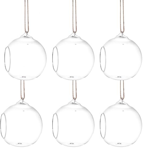HINTRMENT 6 Stück Glas Hängevase für Sukkulenten und Kleiner Pflanzen mit Flachem Boden und Seilaufhängung Pflanzenterrarium für Wohn und Arbeitszimmer Deko