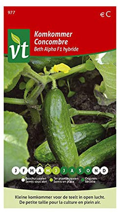 Gurke Beth Alpha F1 Hybrid - Gemüsesamen