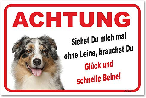 AdriLeo Schild - Vorsicht Australian Shepherd Blue-Merle - Ohne Leine - (20x30cm) / Aussie Achtung Hund Wachhund robust langlebig UV-beständig wetterfestes Warnschild