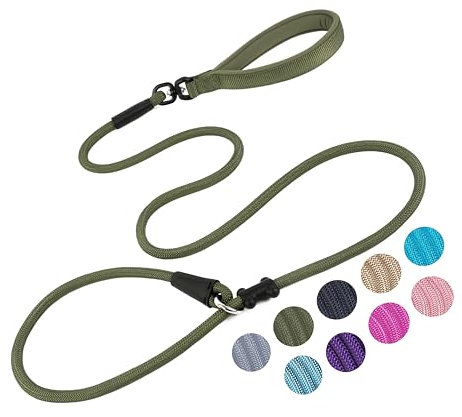 Laisse pour Chien (1,8 m), Corde en Nylon Solide, Anti-étouffement, Anti-Traction et Laisse de Dressage pour Chiens de Petite, Moyenne et Grande Taille (1,27 cm x 1,8 m, Vert Kaki)