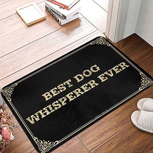 Dsoluuing Home Bar Decor Best Dog Whisperer Ever Fußmatte Veranda Teppiche Outdoor wasserdichte Haustür (Farbe: Farbe, Größe: 65 x 90 cm)