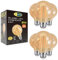 CLAR - Ampoule E27 Vintage Géante, Décorative Filament Globe G95 Ambre, 8W, Blanc Chaud 2500ºK (Pack 6)