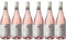 Vino Pungirosa 2024 Bombino nero Rosato, Castel del Monte DOC cl75 Box da 6 bottiglie