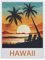 1000 Stück Puzzle，Hawaii，Erwachsene Kinder Papier Spielzeug Lernspiel（38x26cm）-EB53