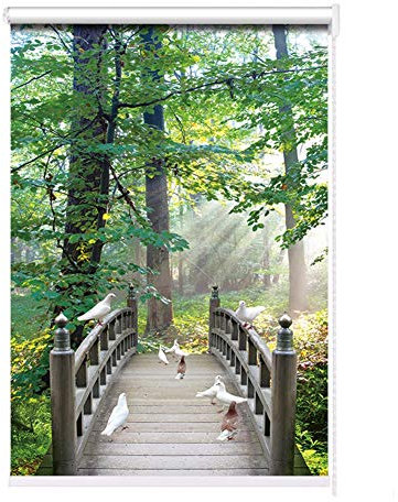 Rollo im japanischen Stil, Wald-Druck, für Schlafzimmer, wasserdicht, für Fenster, mit schöner Sicht, aufrollbarer Vorhang, 100 cm Breite × 160 cm Länge