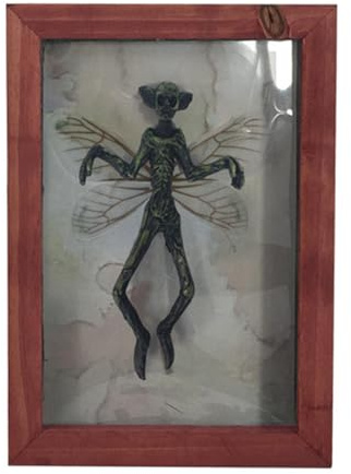 Mumie -Exemplar Bilderrahmen - Gothic Resin Wall Display, Gruseliger Sammlerrahmen | Vintage Curiosity Artwork, Gruseliges Taxidermie - -Objekt Für Galerie, Kabinett Oder Okkultes Heimstyling, Pa