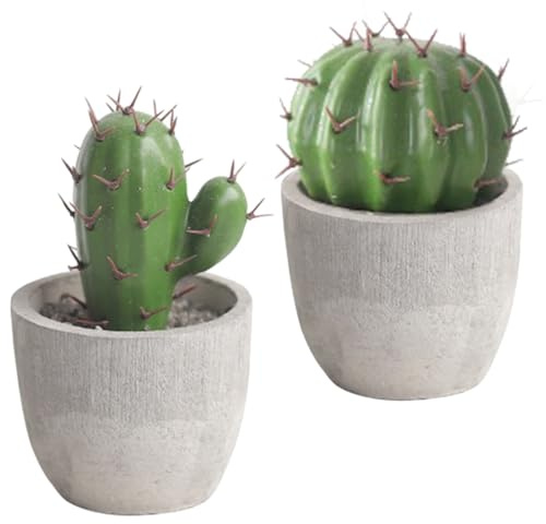 Bonsai di Cactus Finto Mini 2 Pezzi in Cemento e Pietra per Arredo