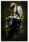 Rossi 2001 Leinwand-Poster, Schlafzimmer, Dekoration, Sport, Landschaft, Büro, Raumdekoration, Geschenk, ungerahmt, 30 x 45 cm