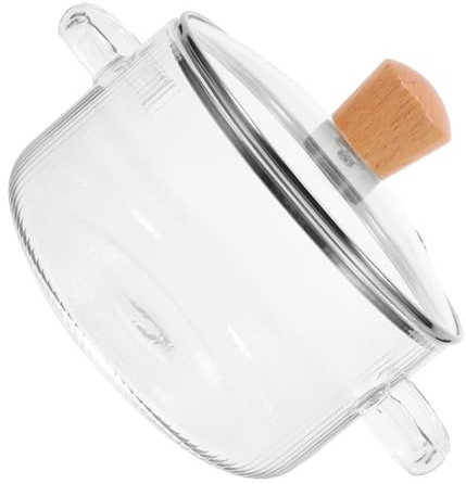 SOIMISS Two-Ear Glass Stew Pot for Cooking Noodles Kitchen Accessory for Home Use Glass Cooking Pot