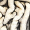 TOLKO 50cm ZOBEL Kunstfell | kuscheliges Teddy Fellimitat 2cm Florhöhe | Plüschstoff für Decke Jacke Mantel Kissen Webpelz Fellstoff Kunstfellstoff Kunstpelz Stoffe zum Nähen Basteln (Husky)