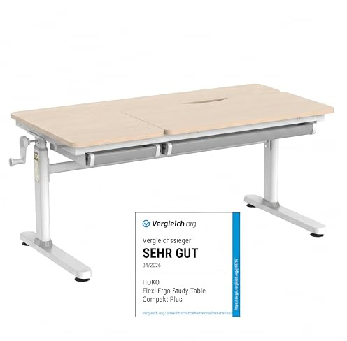 HOKO Schreibtisch Höhenverstellbar，Holz 120x60