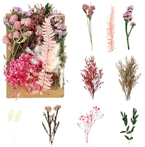 Trockenblumen Zum Basteln, Rosa Getrocknete Blumen mit Pinzette, Kleine Trockenblumen Deko, Haltbare Strohblumen Getrocknet, Blumen Deko für Scrapbooking, DIY Kerze, Schmuck Handarbeiten