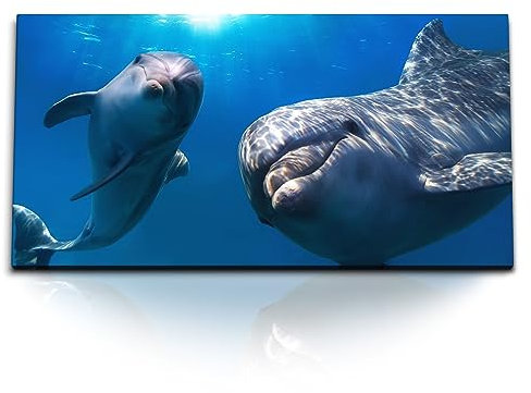 Paul Sinus Wandbild 120x60cm – Faszinierende Delfine: Unterwasserwelt mit zwei Delfinen im klaren, blauen Ozean. Perfekte Harmonie und Natur auf hochwertiger Leinwand