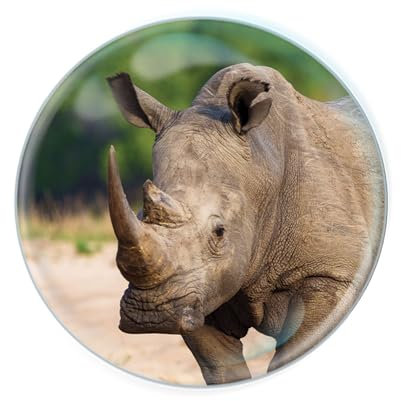 Deluxebase Magnidome Weißes Nashorn Ray Kristallglas Kühlschrankmagnet für Kinder Hervorragende gewölbte Magnete für Heimdekoration und Zubehör